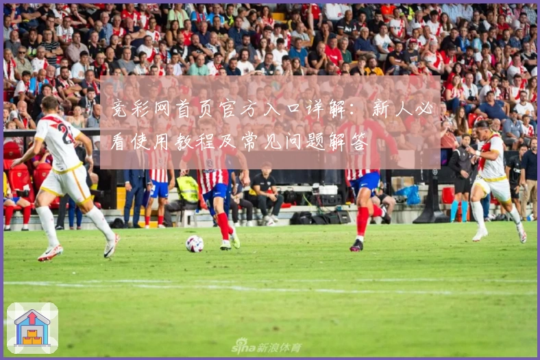 竞彩网首页官方入口详解：新人必看使用教程及常见问题解答