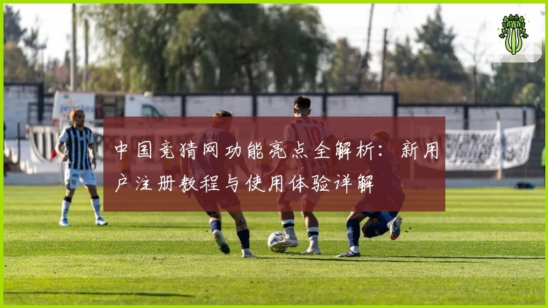 中国竞猜网功能亮点全解析：新用户注册教程与使用体验详解