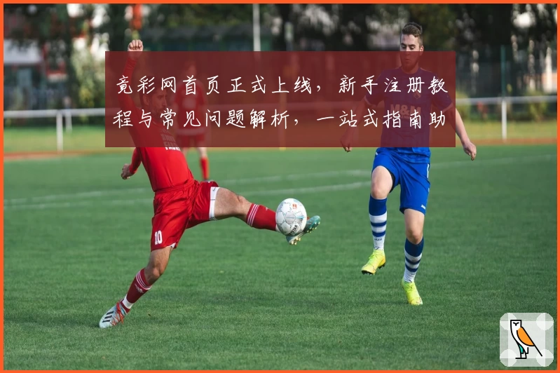 竟彩网首页正式上线，新手注册教程与常见问题解析，一站式指南助你轻松上手